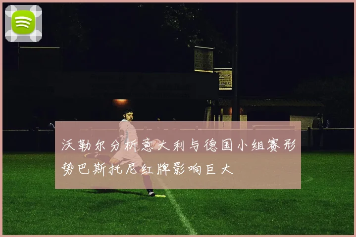 沃勒尔分析意大利与德国小组赛形势巴斯托尼红牌影响巨大