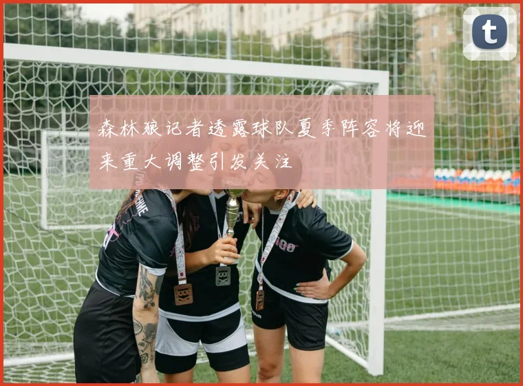 森林狼记者透露球队夏季阵容将迎来重大调整引发关注