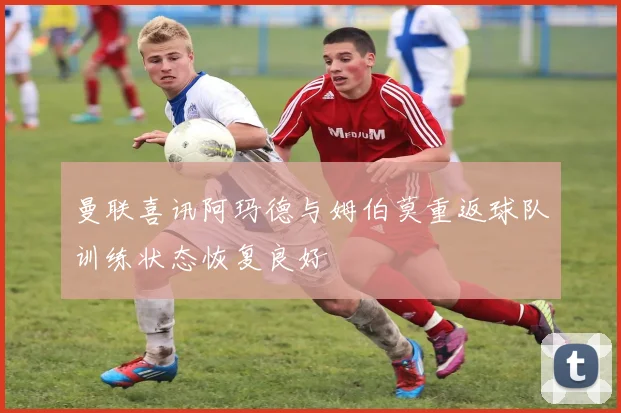 曼联喜讯阿玛德与姆伯莫重返球队训练状态恢复良好